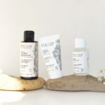 Routine Purifiante